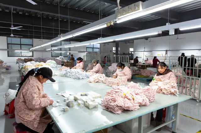 Inspection & Packing